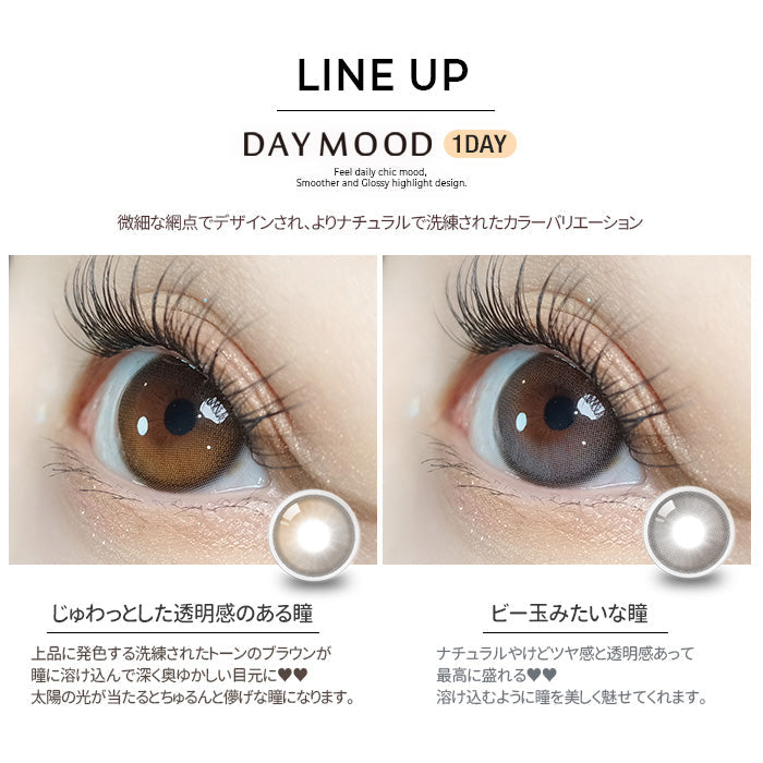 [OLORA] Daymood Oneday (GRAY)