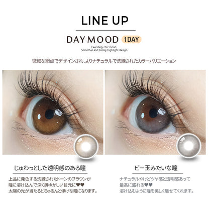 [OLORA] Daymood Oneday (GRAY)