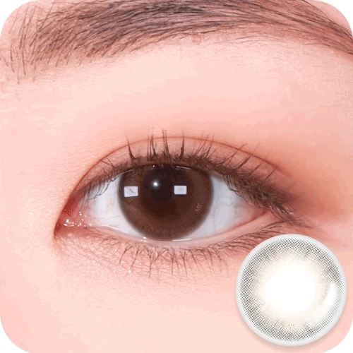 [OMYO] Come on Series Monthly (FREENY BROWN)