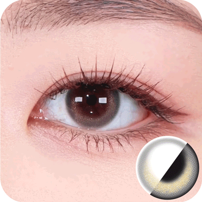 [HOLORIS] View Styling Oneday (NOONMUL GRAY)