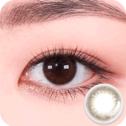 [OMYO] Come on Series Monthly (SILK BROWN)