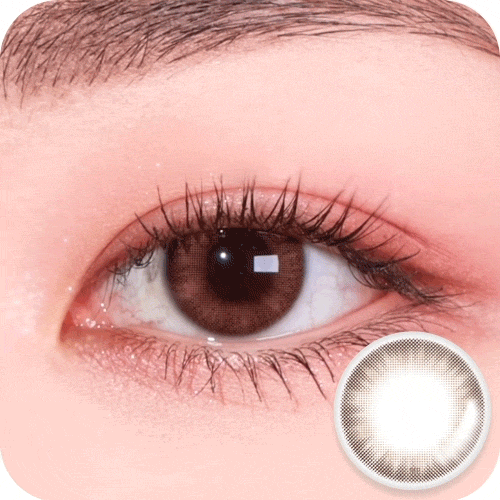 [OMYO] Come on Series Monthly (WINDY BROWN)