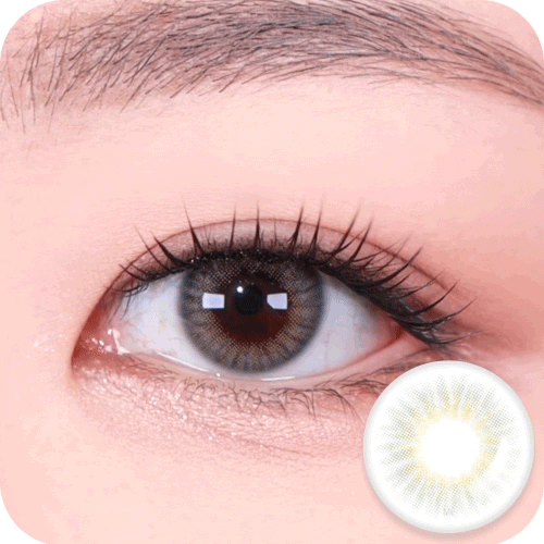 [HOLORIS] Real Series (REALFIT GRAY)