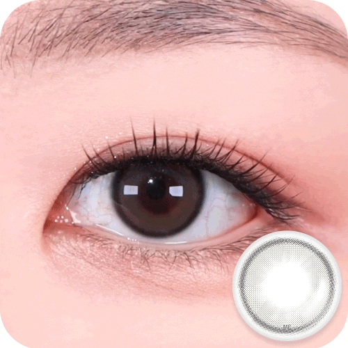 [HOLORIS] Vivid Series (WATER RING GRAY)