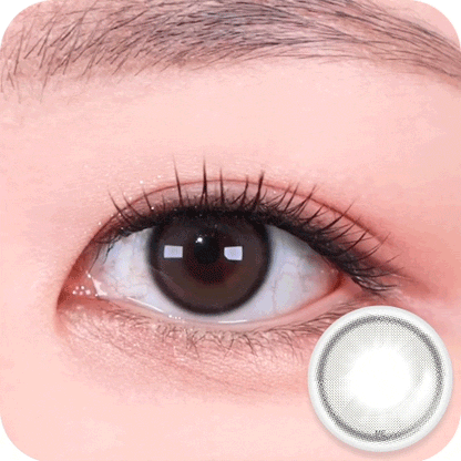 [HOLORIS] Vivid Series (WATER RING GRAY)