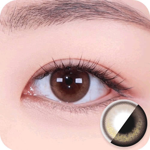 [HOLORIS] Pearl Series (DAL CHOCO BROWN)