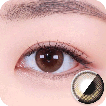 [HOLORIS] Pearl Series (DAL CHOCO BROWN)