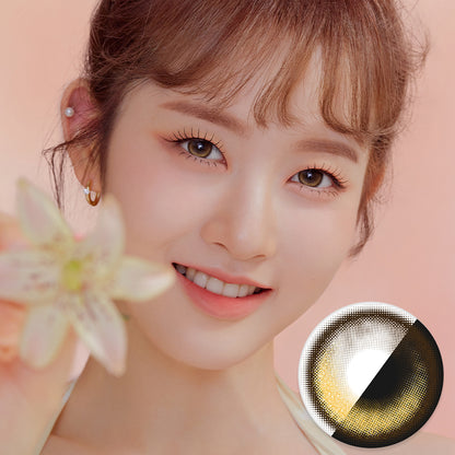 [HOLORIS] View Styling Oneday (QLORING BROWN)