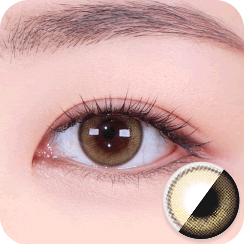 [HOLORIS] Pearl Series (DAL BROWN)