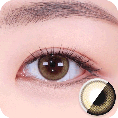 [HOLORIS] Pearl Series (DAL BROWN)